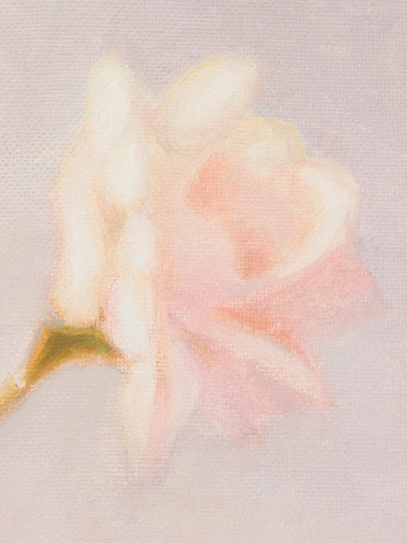 Macro detail of the painting "Veiled Blossoming" in oil on canvas by Renato G Aguiar, highlighting ethereal textures and colors.